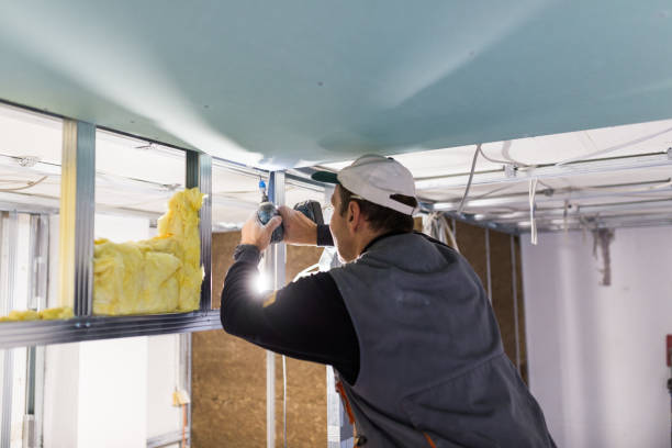 Best Insulation Inspection Services  in West Fairview, PA