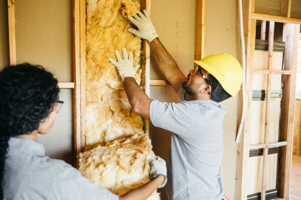 Professional Insulation Contractor in West Fairview, PA